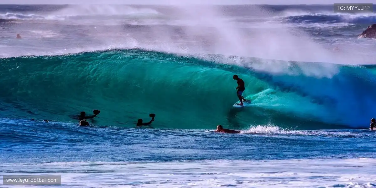 正品保障，收藏热爱！💎